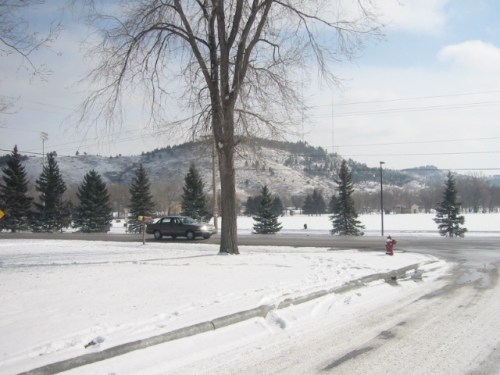 the park at the end of my street