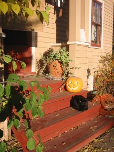 Sydney is posing as a Halloween cat by our home on an October day.
