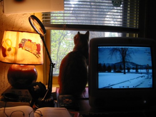 Hendrix and I at computer and window by desk